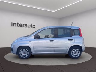 FIAT Panda 1.0 firefly hybrid s&s 70cv 5p.ti