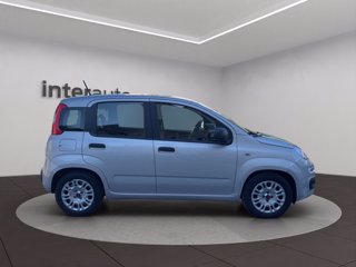 FIAT Panda 1.0 firefly hybrid s&s 70cv 5p.ti