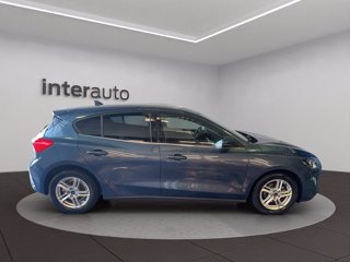 FORD Focus 1.0 ecoboost Business s&s 125cv