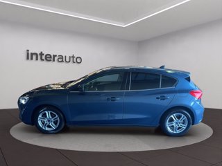 FORD Focus 1.0 ecoboost Business s&s 125cv