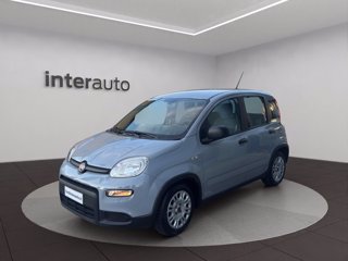 FIAT Panda 1.0 firefly hybrid City Life s&s 70cv