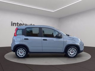 FIAT Panda 1.0 firefly hybrid City Life s&s 70cv