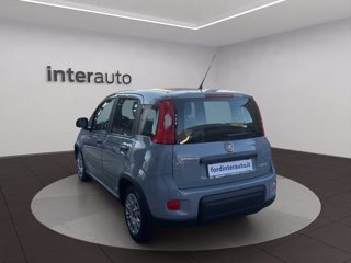 FIAT Panda 1.0 firefly hybrid City Life s&s 70cv