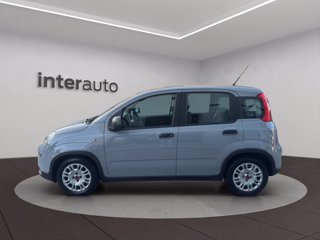 FIAT Panda 1.0 firefly hybrid City Life s&s 70cv