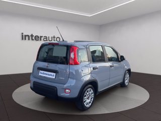 FIAT Panda 1.0 firefly hybrid City Life s&s 70cv