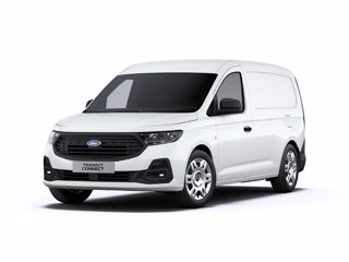 FORD Transit Connect Trend 2.0 Diesel 102cv PL