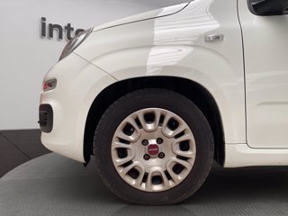 FIAT Panda 1.0 hybrid Easy s&s 70cv