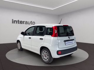 FIAT Panda 1.0 hybrid Easy s&s 70cv