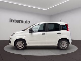 FIAT Panda 1.0 hybrid Easy s&s 70cv