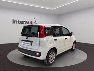 FIAT Panda 1.0 hybrid Easy s&s 70cv