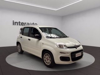 FIAT Panda 1.0 hybrid Easy s&s 70cv