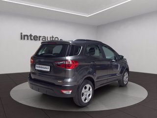 FORD EcoSport 1.0 ecoboost Plus 100cv