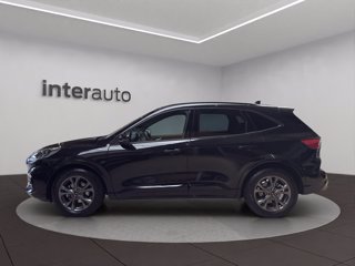 FORD Kuga 2.5 full hybrid ST-Line 2wd 190cv cvt